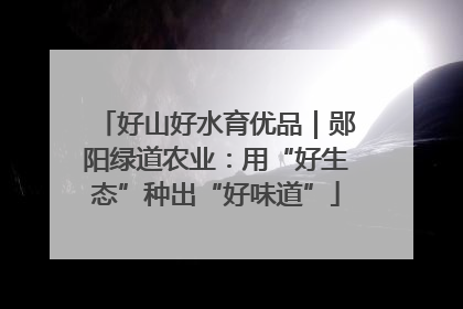 好山好水育优品｜郧阳绿道农业：用“好生态”种出“好味道”